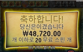 왕관쓴 털보 아깝다