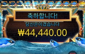 파라오 수집이 안되