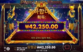 피라미드 킹 20바퀴만 진입