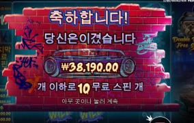 일부러 비싸게 샀는데 빅도그