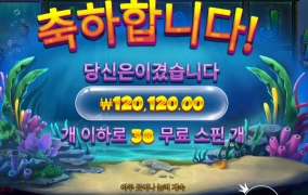 비 웨더 딥 120120