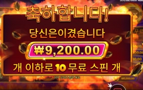 캐시 칩스 10스핀 돌려보았다