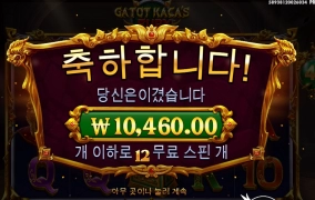 카토는 계륵이야