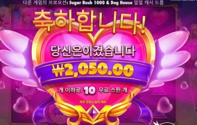 핑크공주 앞으로