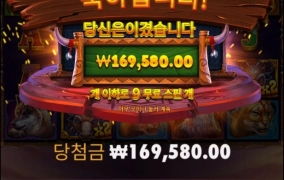 바이슨 850배당 굿굳굿