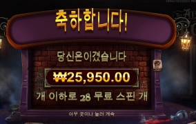 알터 기본스핀 구매