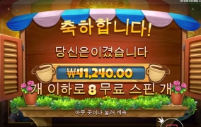 좋은아침입니데이