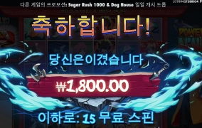 스핀 구매 15바퀴 닌자