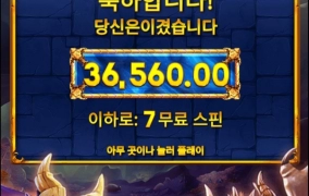 와일드좀 더 깔아주지