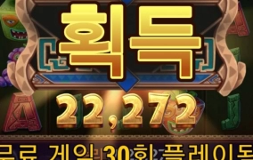 하바네로 프룻 마얀