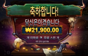 카코 와일드 배수 무난하게 잘 받았는데