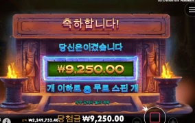 이집트에서 데려온 고양이 얼마라구요?