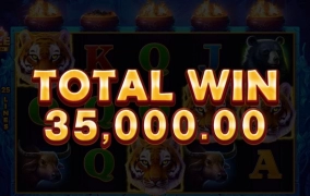 부운고 정글타이거