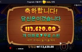 도그하우스 후기