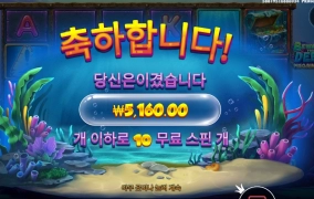 비더딥 누가 하라 했는가