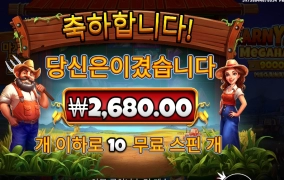 이 돈이면 밭을 엎지