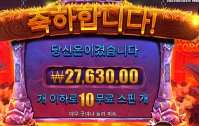 바이킹 센세 스바라시