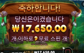 바이슨 돌리는데 그림을 보니