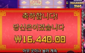 플로팅 드래곤 후기