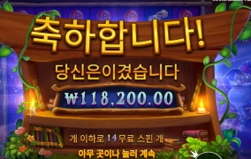 스펠바인딩 590배