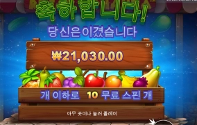 보난자는 슴슴한 된장찌개랄까