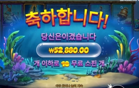 비웨어 5콩 나이쓰