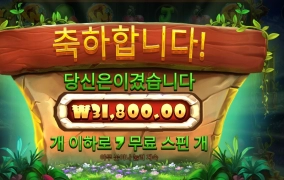 벨레로 돈버는 세상