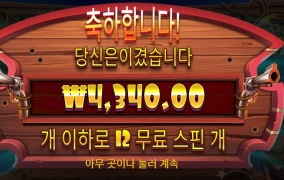 판자촌 개집정도