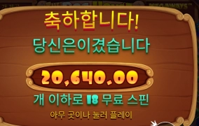 개집메 스핀구매