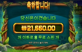 팀버 스핀 구매