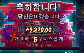 동물학대 노노 빅도그