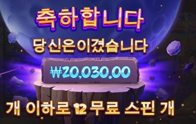 사이어인 12스핀 2콩 배팅