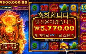 소고기 먹고싶노