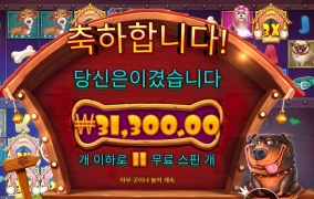 개집 멀티 3콩 나이쏘~