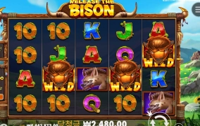 바이슨 2천원 장난빠나