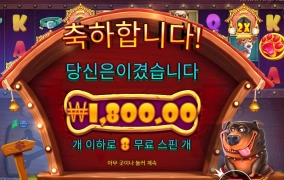 강아지를 좋아하지 않습니다.