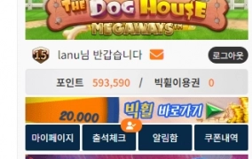 슈가 1000 이벤트 후기