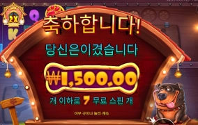 멀티개집 개판이네