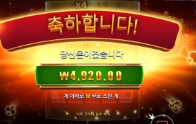 에이스 포춘 아련하네