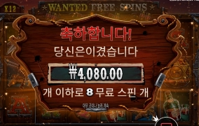 수배를 내렸습니다.