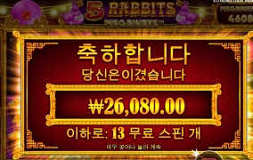 토끼라고 같은 토끼가 아임다