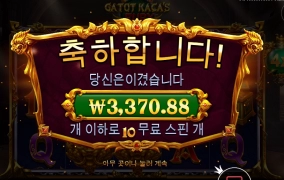 가오가 충만한 카카야