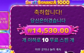 스위트인데 감 떨어지네