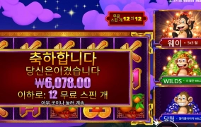 한놈도 아니고 3마리가