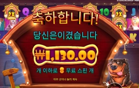 개집 멀티 다 부숴야겠어