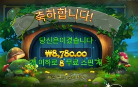 팟 오브 포춘 스핀 구매