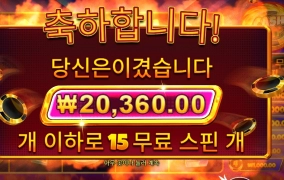 다시 봤어 캐시칩스