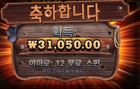 뭐니뭐니 해도 와일드다!