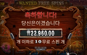 수배는 성공했는데