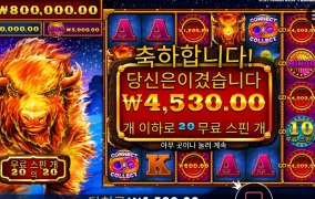 20스핀이 안부끄럽더냐